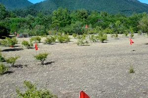 Parcelas Las Pilcas