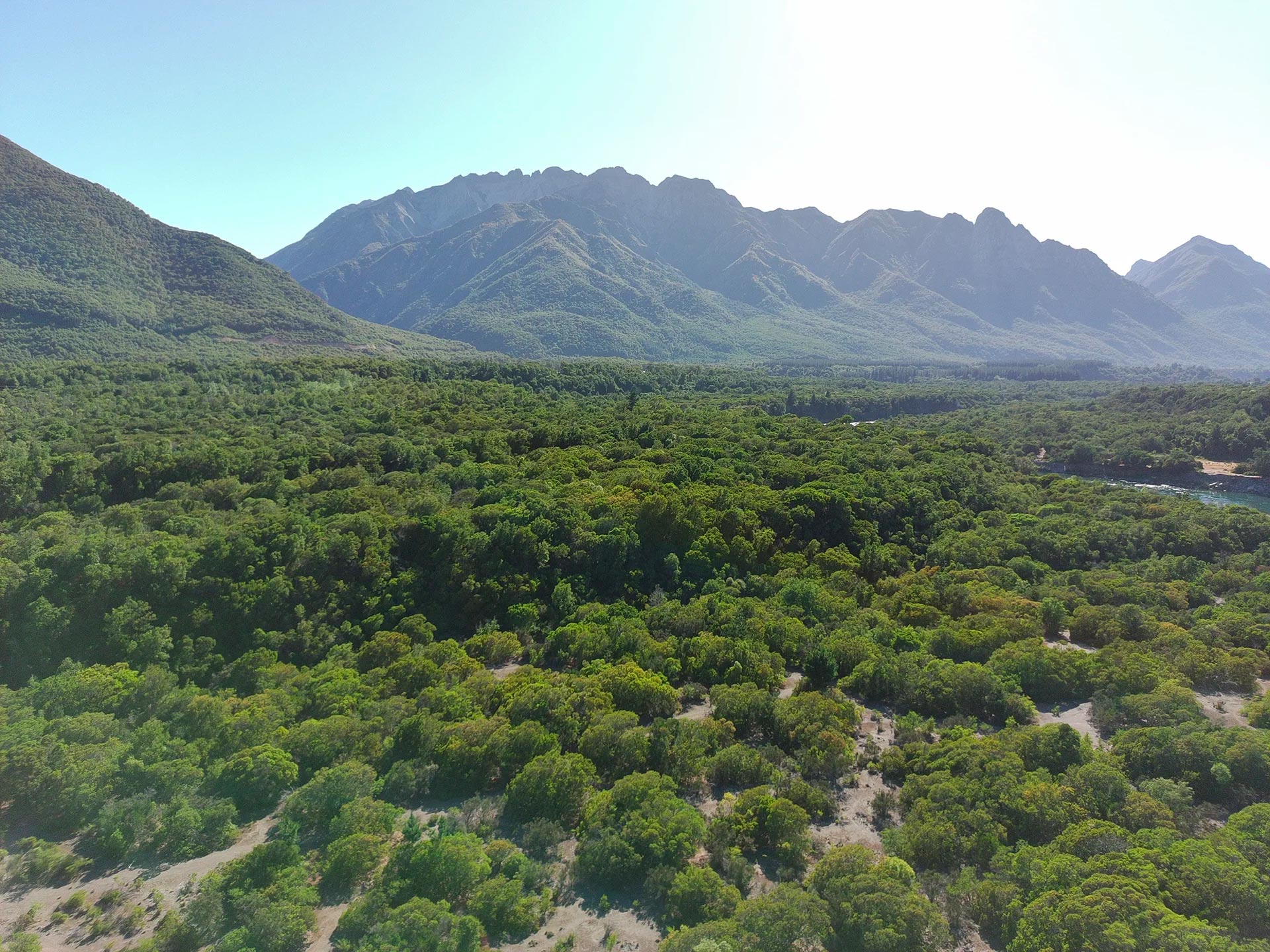 Entorno natural y bosque nativo