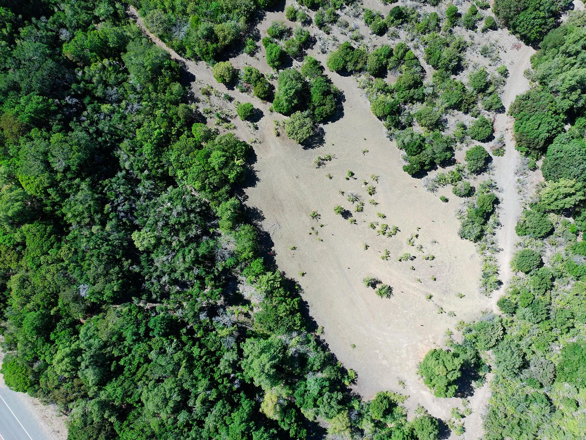 Topografía plana y lomaje suave