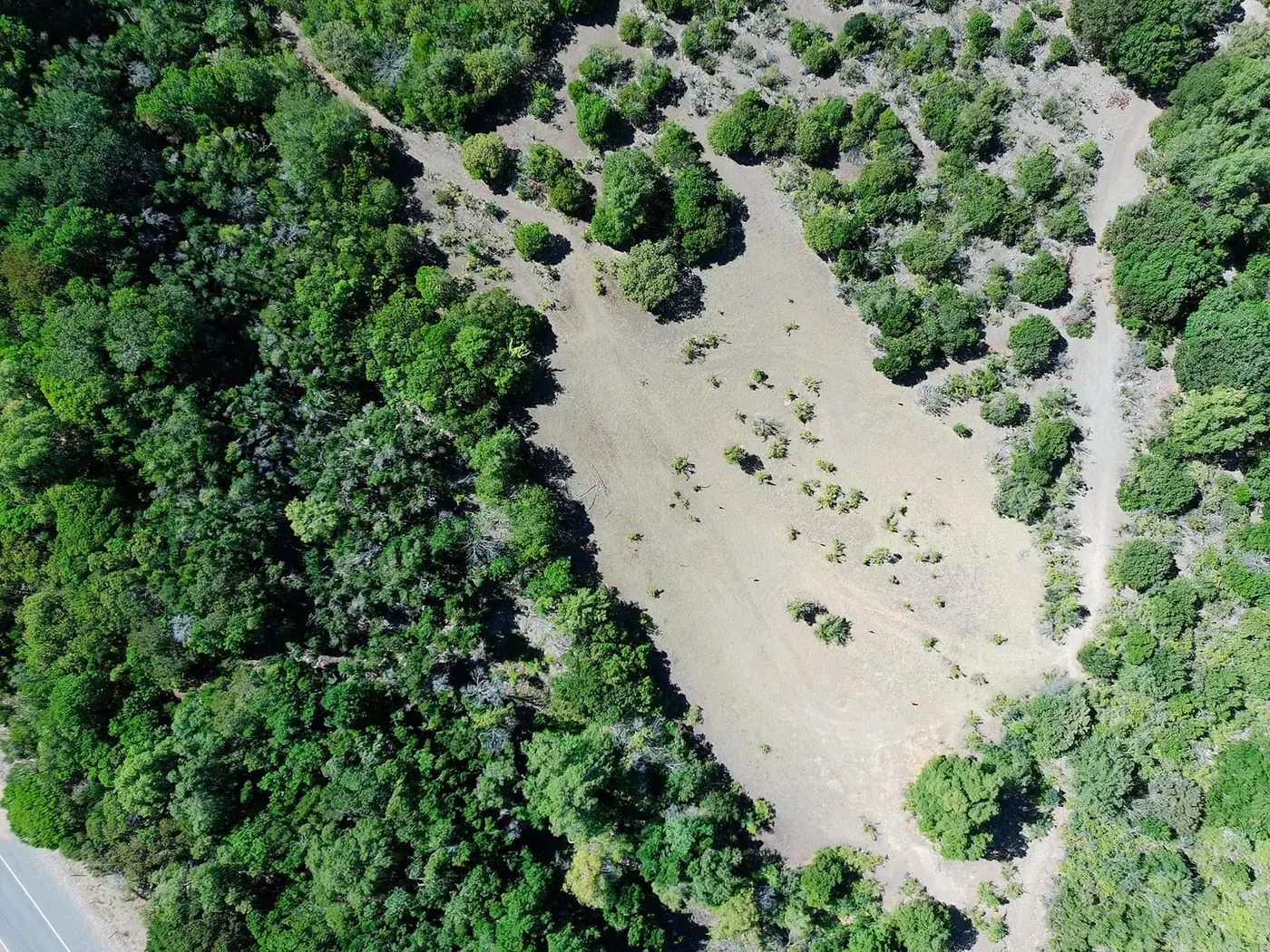 Topografía plana y lomaje suave