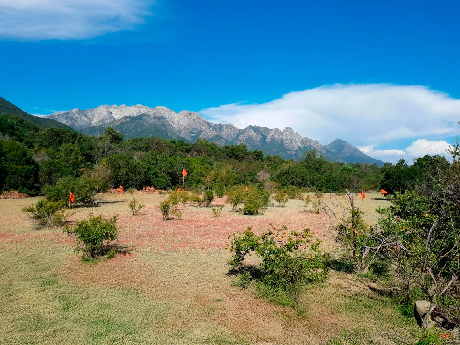 Terrenos disponibles para construir