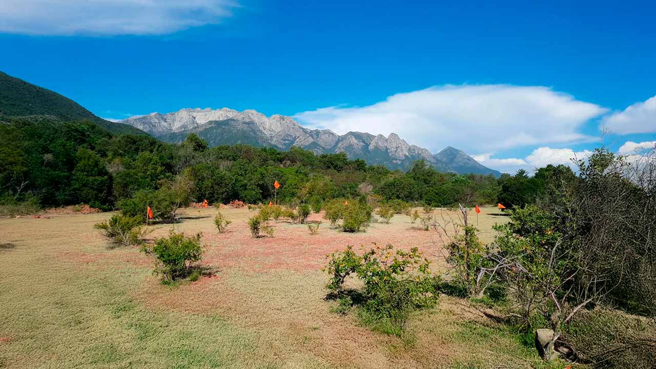 Venta de Parcelación Las Pilcas en San Fabián, Ñuble